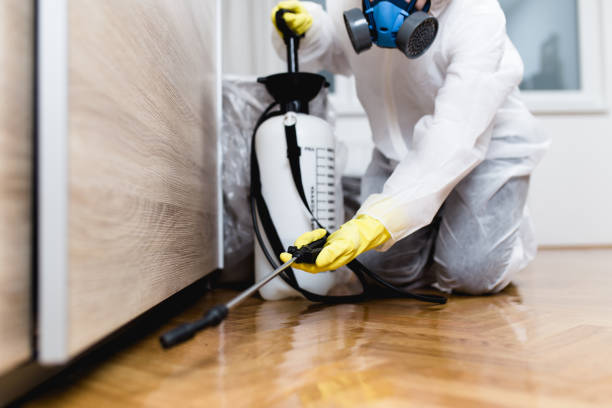 Best Bed Bug Extermination  in North Valley, NM
