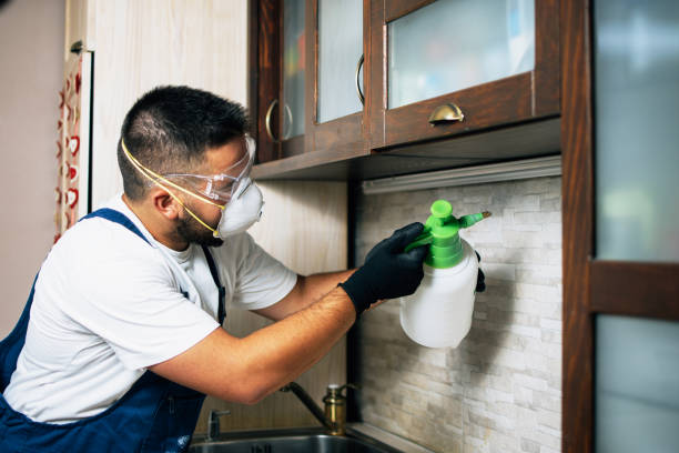 Best Pest Inspection Near Me  in North Valley, NM