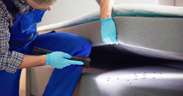 Best Emergency Pest Control  in North Valley, NM